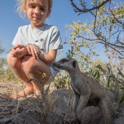 meerkat + kid 2