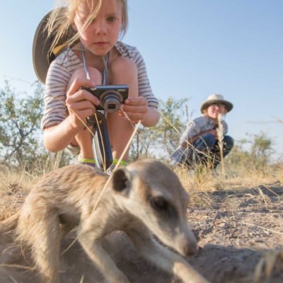 meerkat + kid 3-3