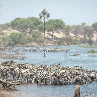 13422179_10207502392492740_8179449815568871259_o