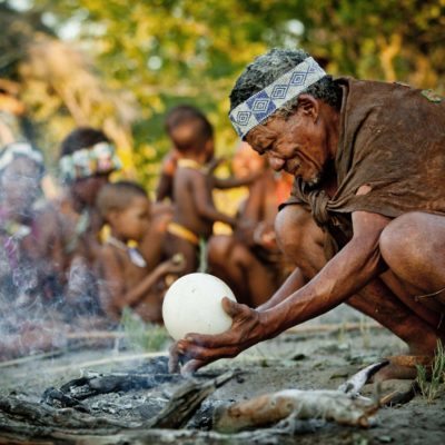 Bushman activity