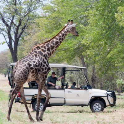 CEC - activities - game drive