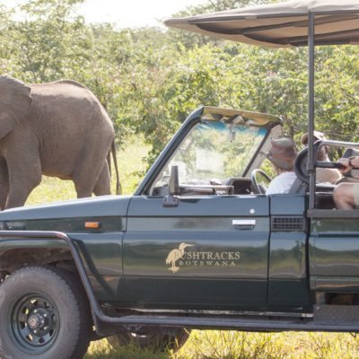 CSL - acrivities - game drive 2