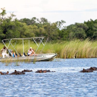 Camp-Moremi-Boat-Safari(2)