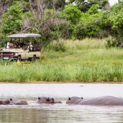 Camp-Moremi-Game-Drive(2)