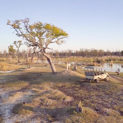 Camp-Moremi-Sundowners-