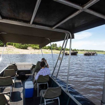 Chobe boating with Wildland safaris private cruise