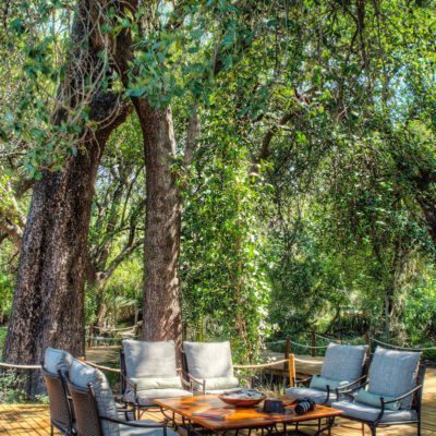 DeckTrees Xug 12820-2