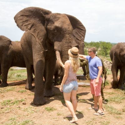 EC- activities - elephant interaction