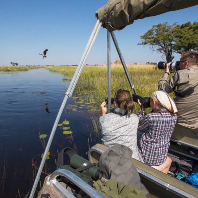 Fish eagle from boat
