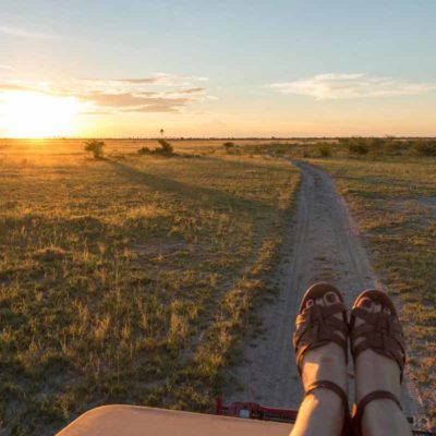 Game drives - Roof view