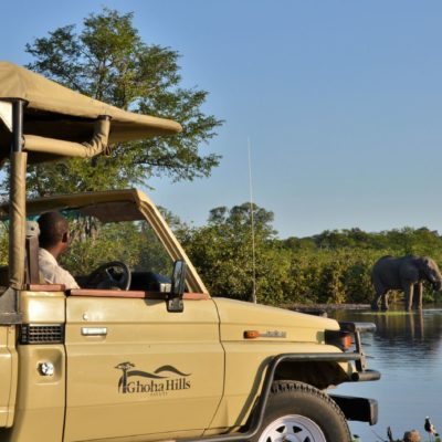 Goha HIlls- activities - game drive