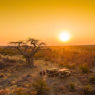 Gohah Hills - activities - game drive