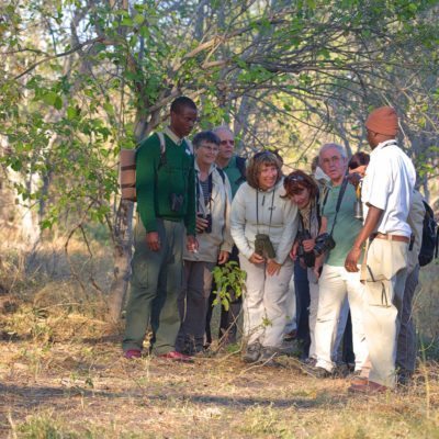 Gunns Camp - activities - walking