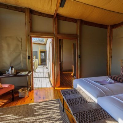 Kalahari_2012-06-32