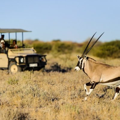 Kalahari_2012-06-65