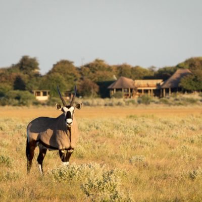 Kalahari_2015-03-6