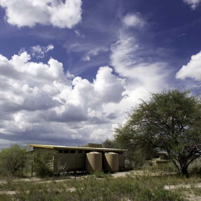 Kalahari_Plains-26