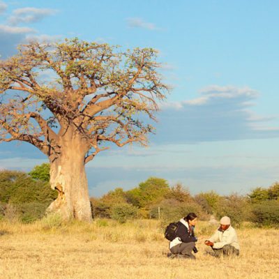 Kwando Nxai Pan bushman walk