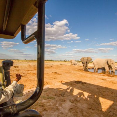 Kwando Nxai Pan elephants