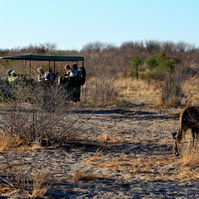 Kwando Nxai Pan game drive lion