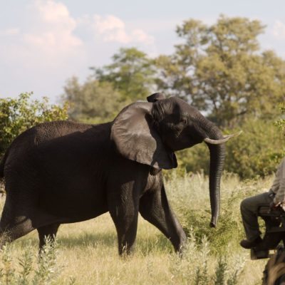 Lagoon Camp- activities .game drive