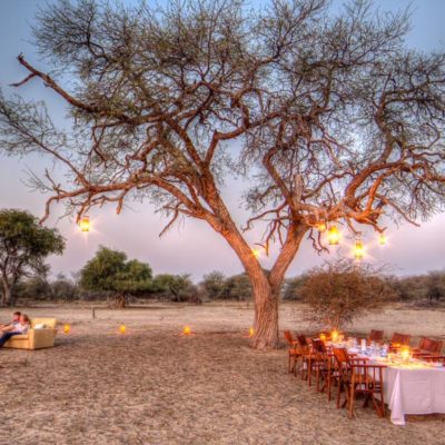 Leroo-La-Tau-Bush-Dinner