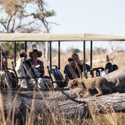 PP- activities - game drive