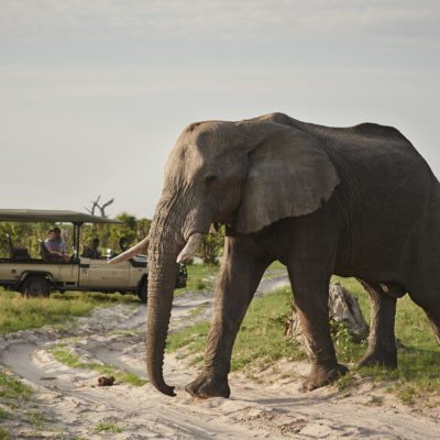 SEC- activities - game drive
