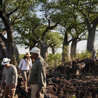 SEC - activities - walking safari