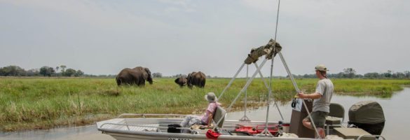 Safari Boat 1