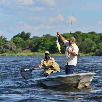 ZQ Collection Tiger fishing Zambezi river runs
