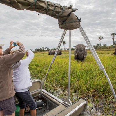 boat and elephants