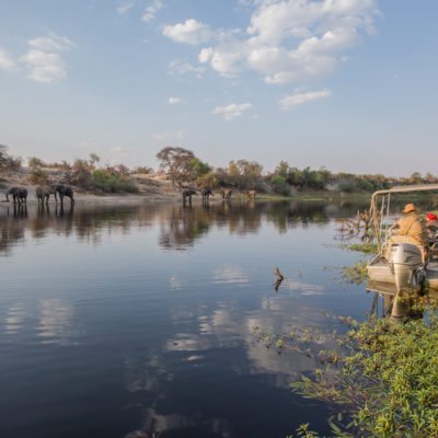 boat-with-eles