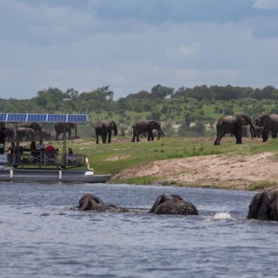 Boating chobe