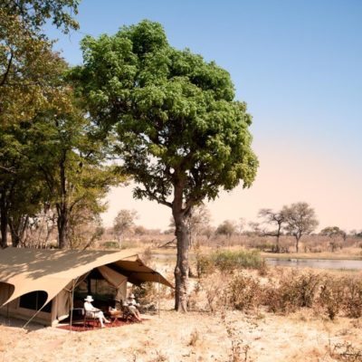 camp25-1024x681