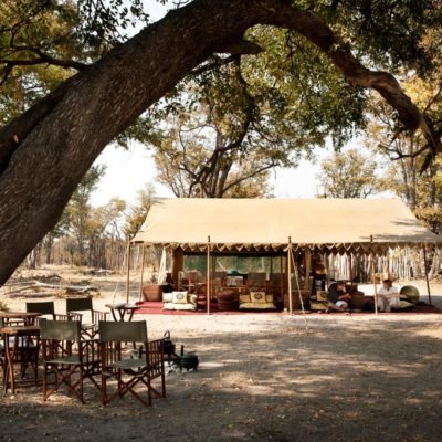 camp64-1024x681