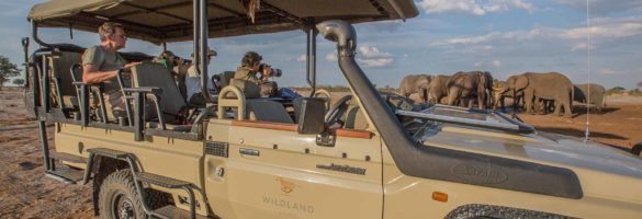 car and eles