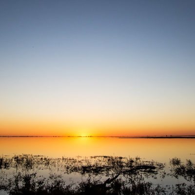 chobe river in flood