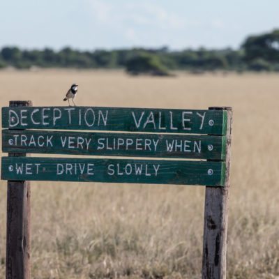 deception valley low
