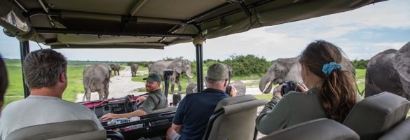 Chobe Game drive