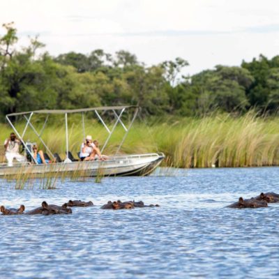 Boat cruise