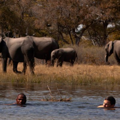 great_plains_explorers_swimming-1024x682