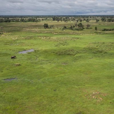helicopter Okavango
