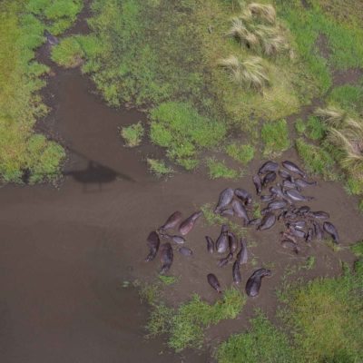 Okavango scenic
