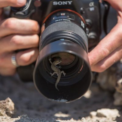 photography site size 1