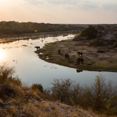 view-with-eles