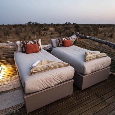 skybed beds