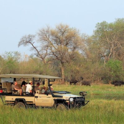 Sable-Alley_Game-Drive-Buffalo