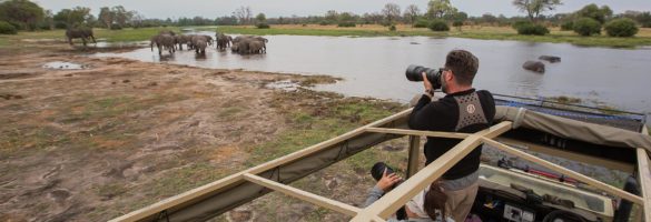 eles photo khwai