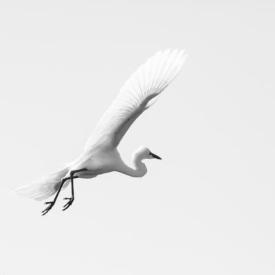 egrat BW